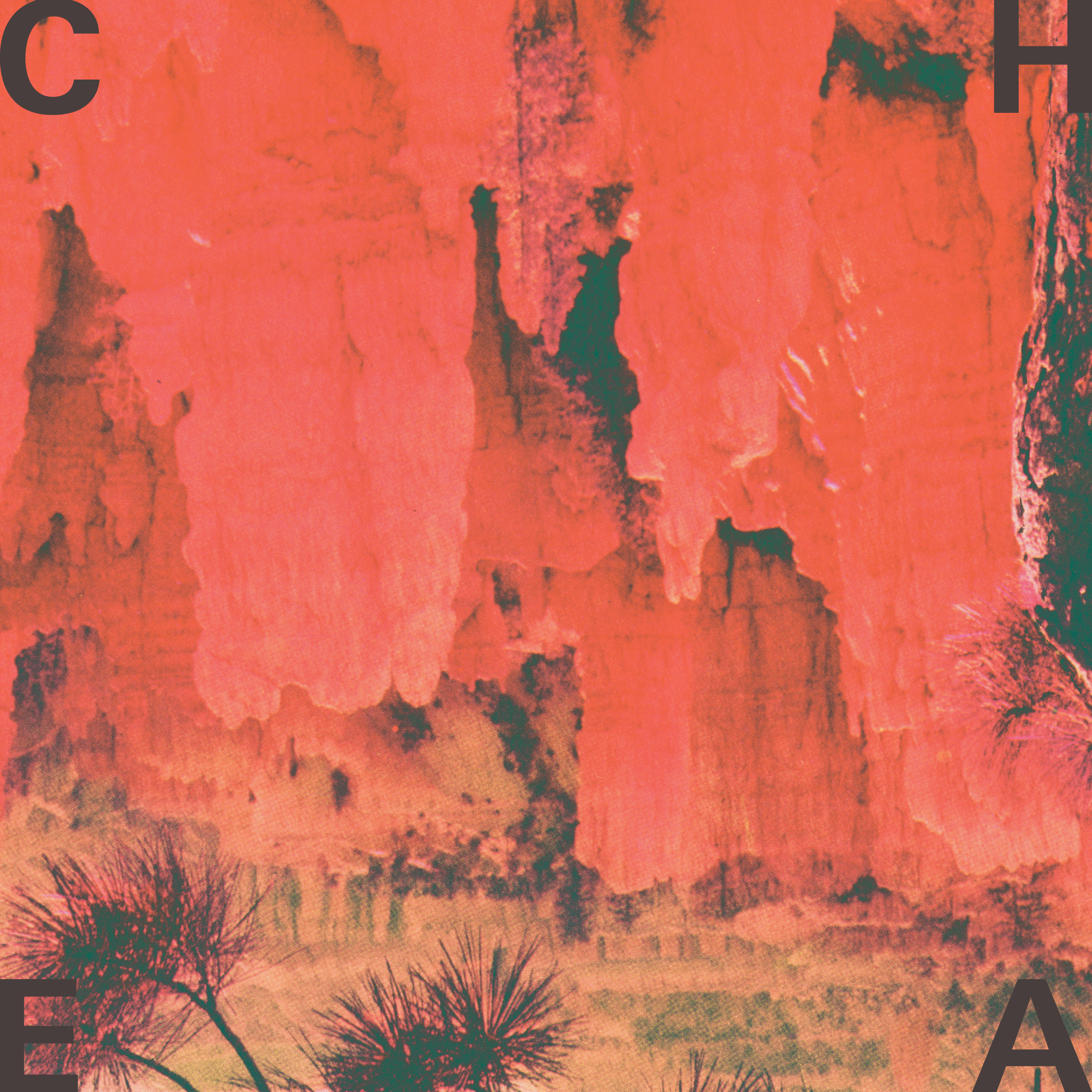 Cheatahs – Cheatahs (Wichita)