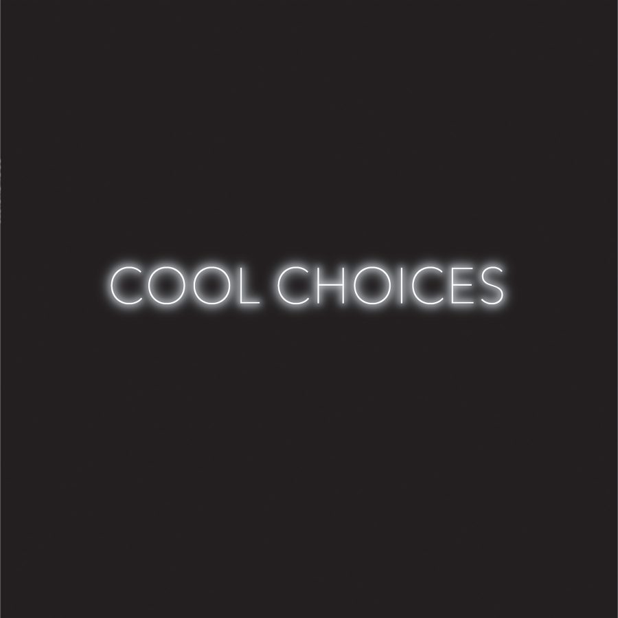 S, "Cool Choices" (Hardly Art)