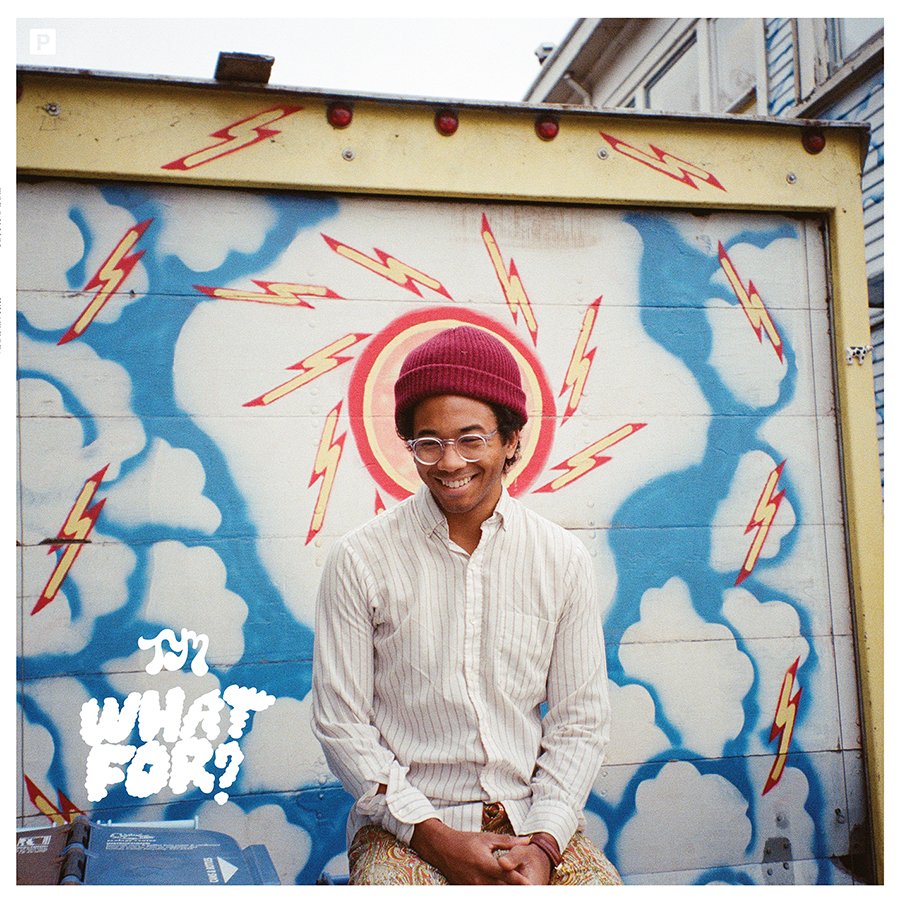 Toro Y Moi, "What For?" (Carpark)