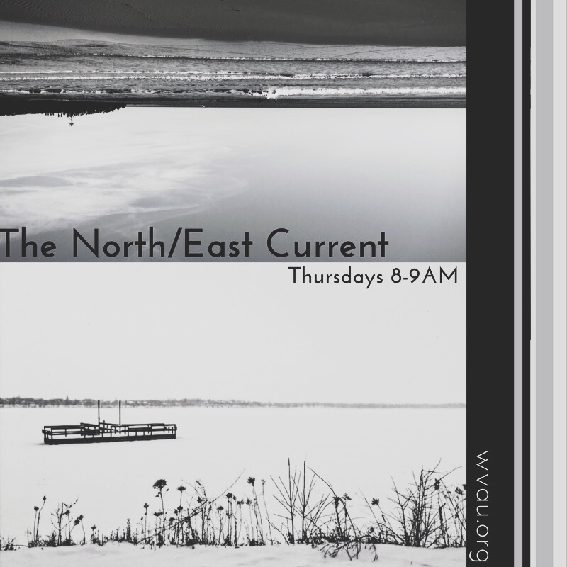 The North/East Current w/ Amanda Riddle and Gabe Bichinho