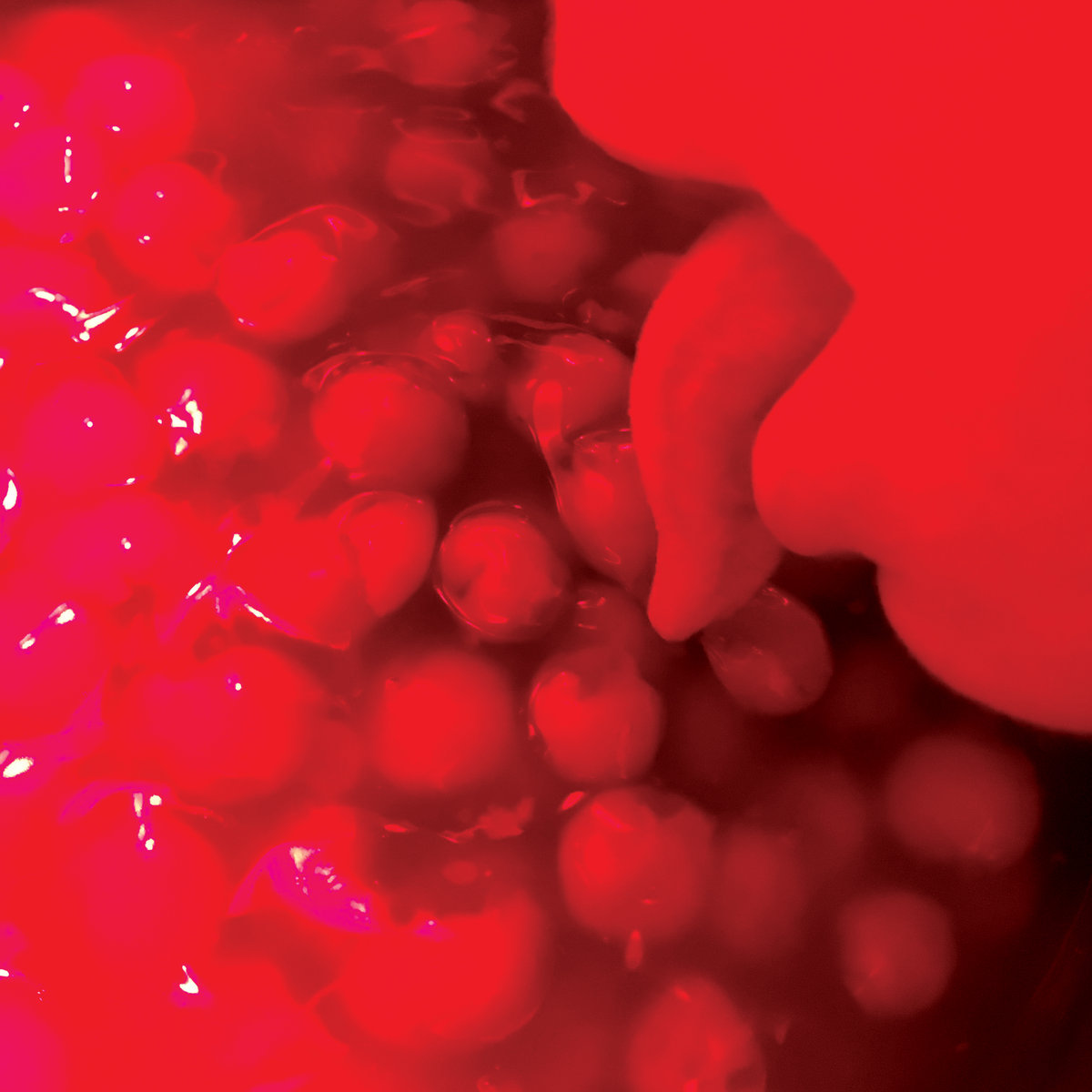 REVIEW: Broncho – Bad Behavior