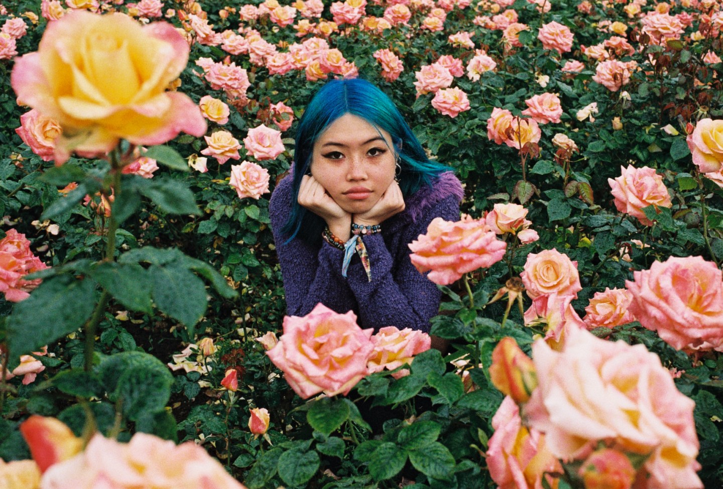 Fresh Off the Boat: beabadoobee – the comfort voice that we all need