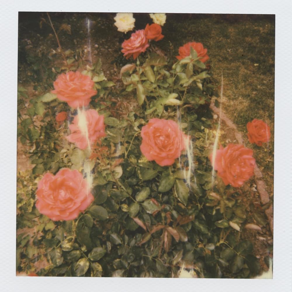 ee3b2d963b1a009ddca3fab0ced4790c.1000x1000x1 Girl in Red: Chapter 2 Album Cover