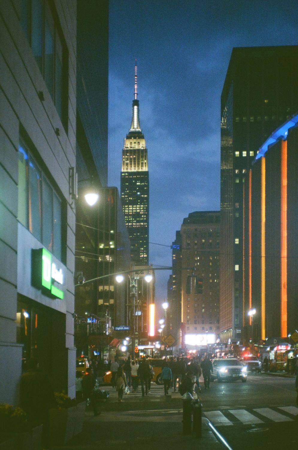 Kodak in the Sun: On a Fictional Flight Home