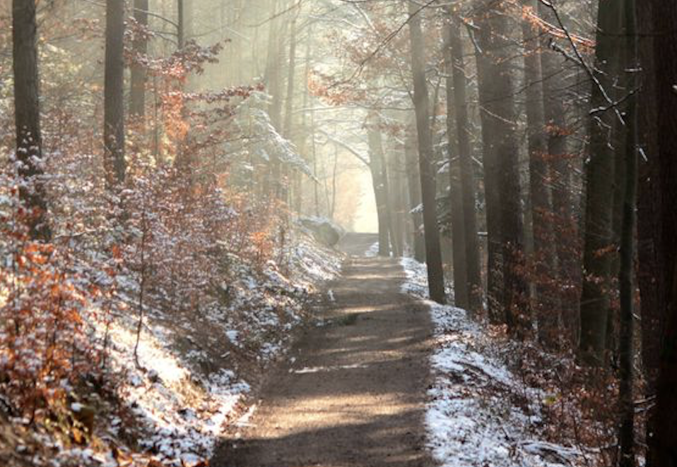 Puddle Music: Songs for the Transition from Fall to Winter