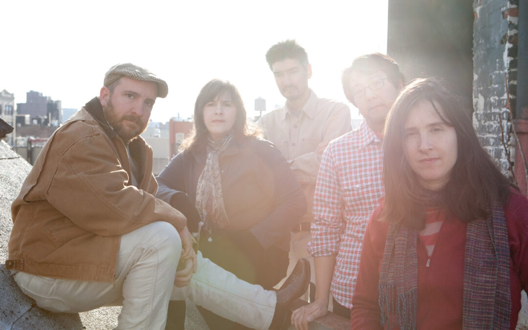 Concert Preview: Magnetic Fields