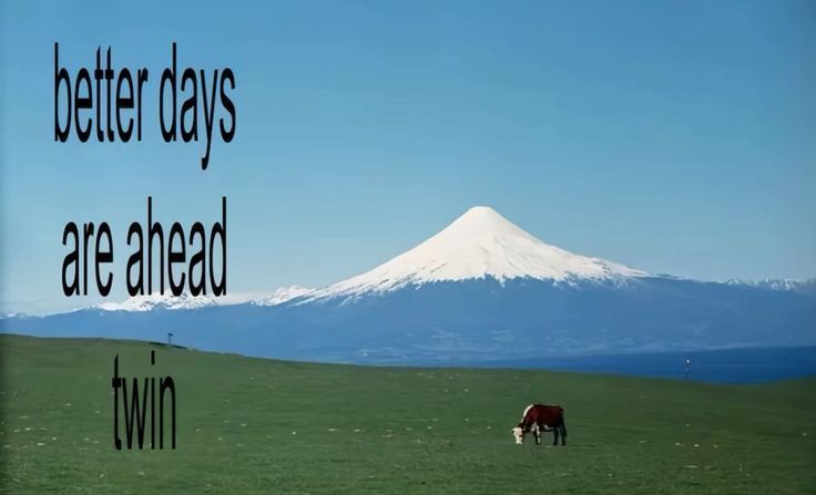 Songs to Cure Your Seasonal Depression