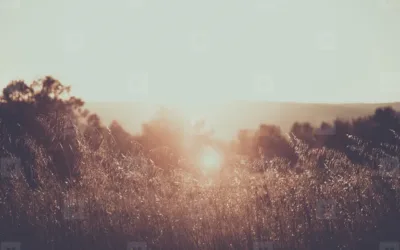 Scoring the Moment: Summer Song Recommendations