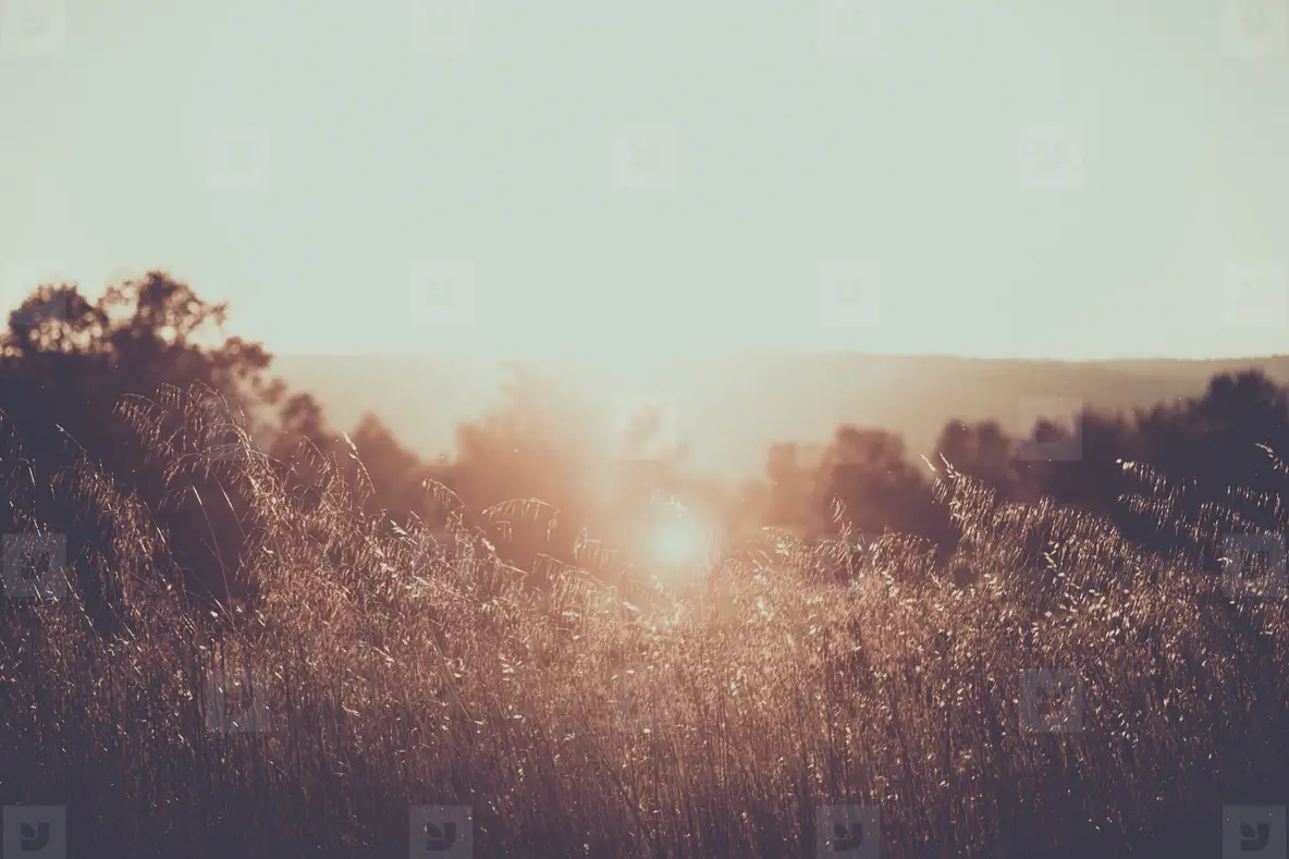 Summer – Nella Bupp